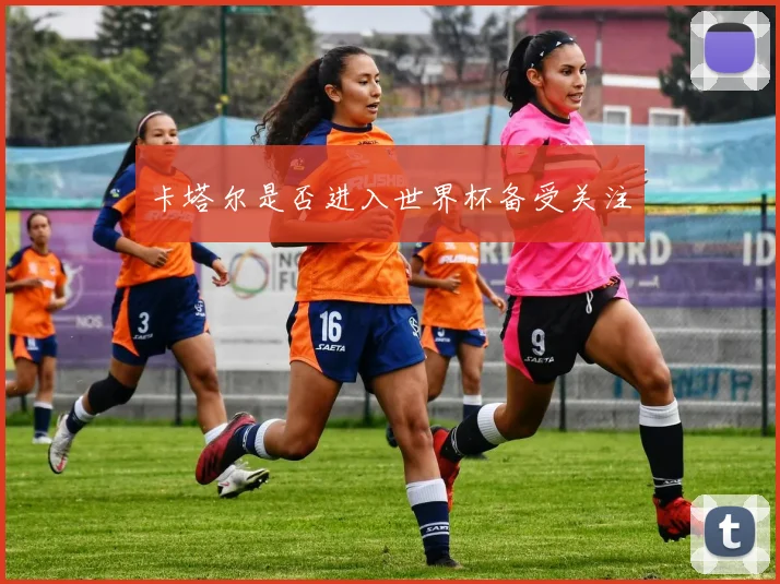 卡塔尔是否进入世界杯备受关注