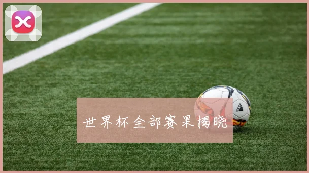世界杯全部赛果揭晓