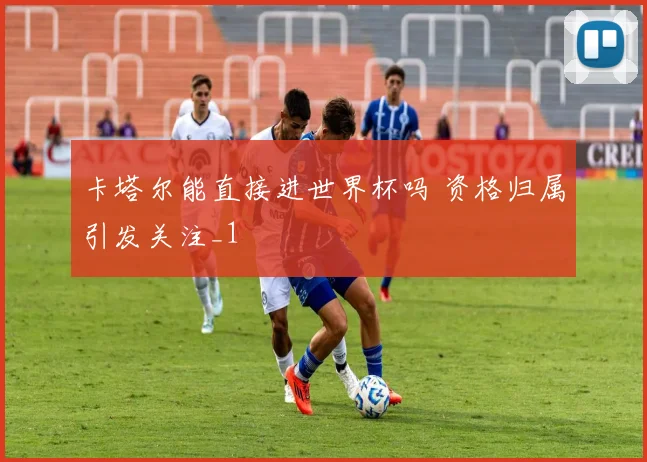 卡塔尔能直接进世界杯吗 资格归属引发关注_1
