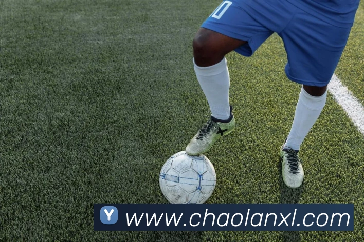 世界杯app平台平台生态图